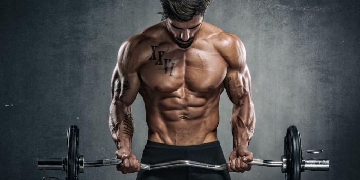 1332x850 Wallpaper pose, muscle, muscle, rod, press, athlete, gym