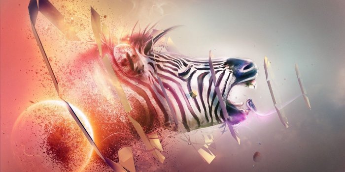 1920x1080 Download wallpaper 1920x1080 zebra, head, bands, explosion, fantasy