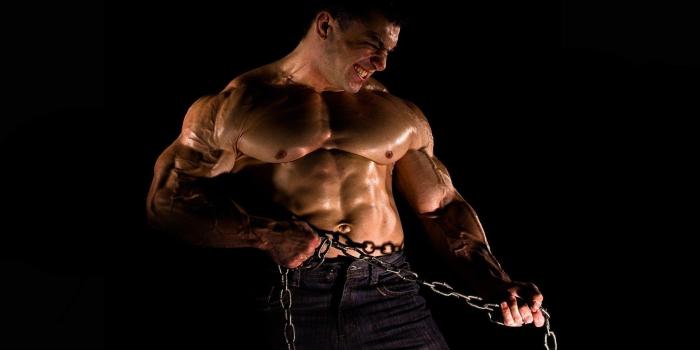 1920x1200 Muscles Wallpapers