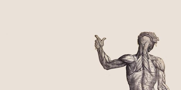 1024x768 Best 46+ Muscle Backgrounds on HipWallpaper | Muscle Car Wallpaper