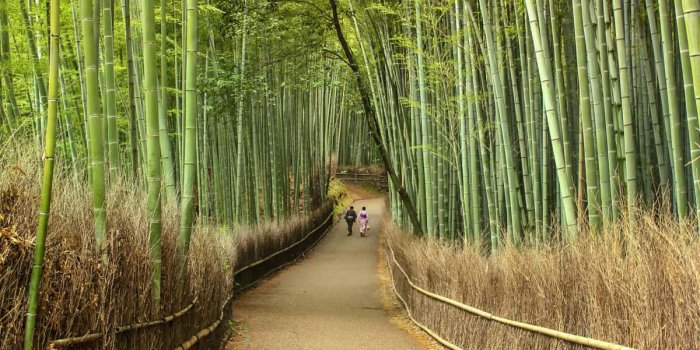 1200x800 KYOTO DAY TOUR FROM OSAKA: A DIY ITINERARY | The Poor Traveler