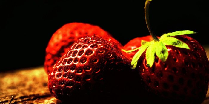 2560x1440 72+ Super Hd Wallpapers on WallpaperPlay