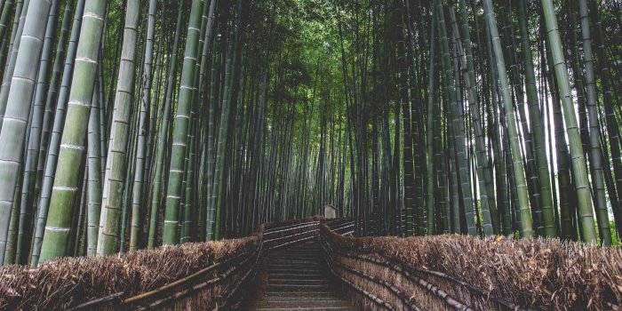 5472x3078 Arashiyama | Tourist Japan