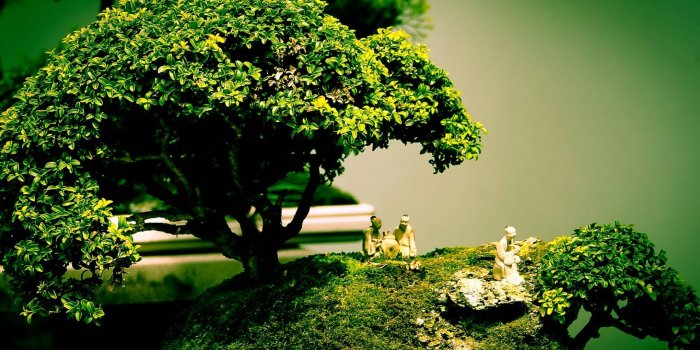 2560x1440 Super Wallpapers