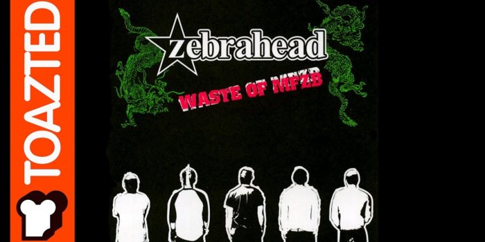 1920x1080 Zebrahead | It's Harder to Become More and More Original | Toazted