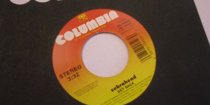 1024x768 ZEBRAHEAD Get Back/Check 45 RPM 1998 Columbia Records EX