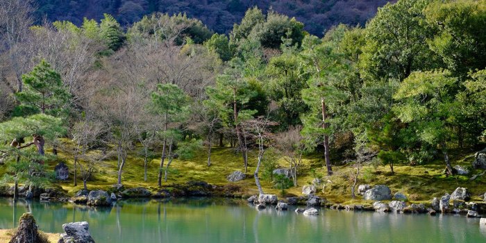 3840x2560 kyoto arashiyama lake and tree hd 4k wallpaper and background