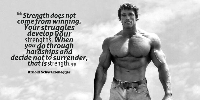 1920x1080 69+ Arnold Schwarzenegger Wallpapers on WallpaperPlay