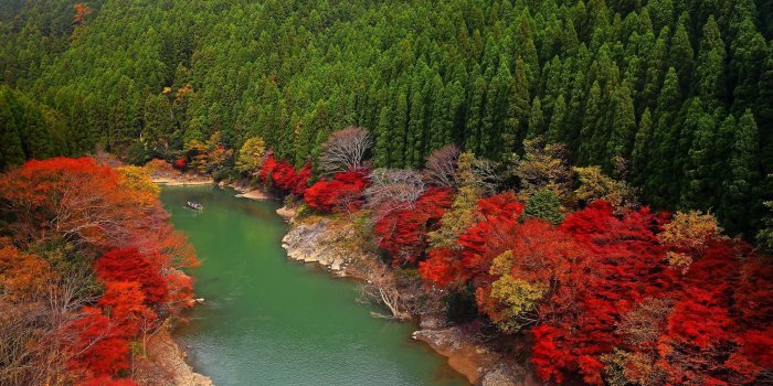 2048x1312 Arashiyama, (Kyoto, Japan) / 2048 x 1312 / Nature / Photography
