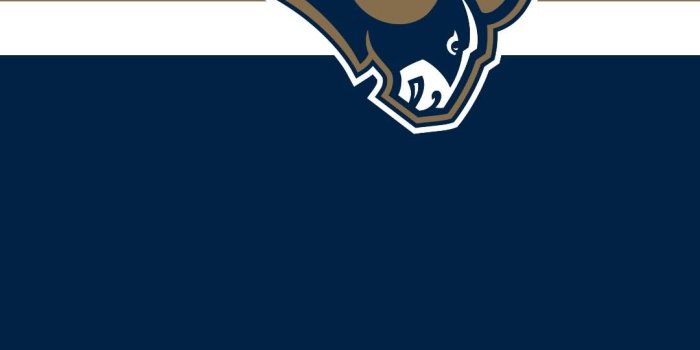 1080x2340 Get your phone's game face on with these Super Bowl LIII wallpapers