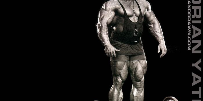 1600x1200 Download Dorian Yates Wallpaper Set 3 Muscle and Brawn [1600x1200