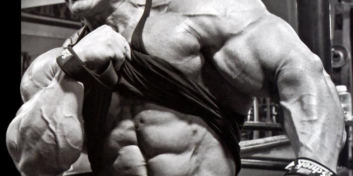 1405x1291 Bodybuilders wallpaper Gallery