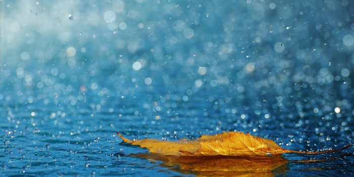 1920x1200 Rain Wallpapers HD