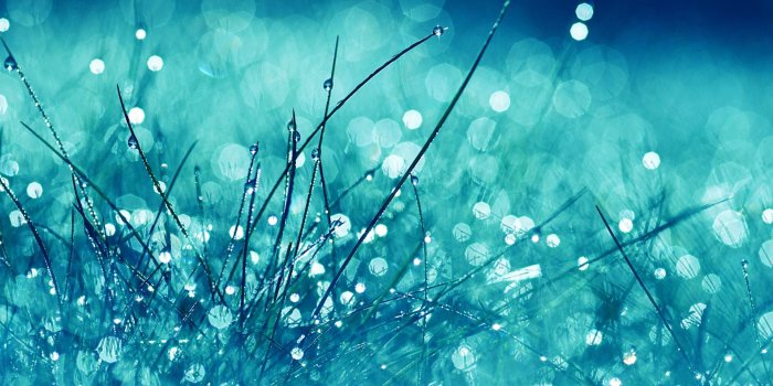 1920x1200 Rain wallpaper high definition quality widescreen - Free HD Wallpapers