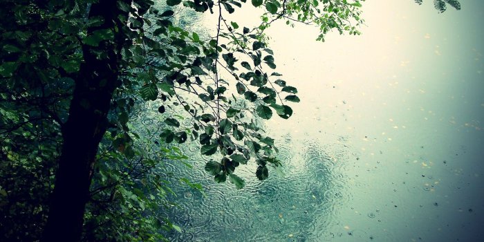 1920x1200 50+] 3D Rain Wallpaper on WallpaperSafari