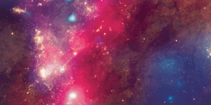 1080x1920 CandyShell Inked Wallpapers for Galaxy S5 | Match Your Case & Wallpaper