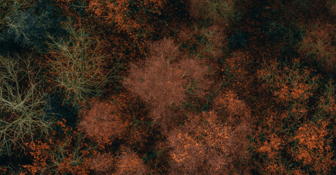 670x1450 The 10 Best Places to Find Your Next iPhone Wallpaper