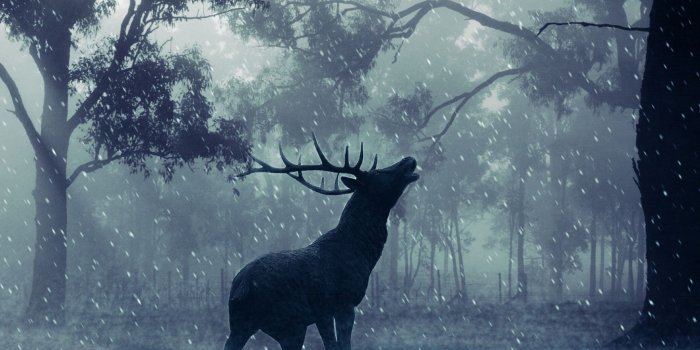 2048x2048 Follow Me ❤ 4K HD Desktop Wallpaper for • Dual Monitor Desktops