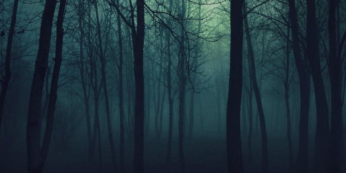 1024x1024 Tablet Wallpapers