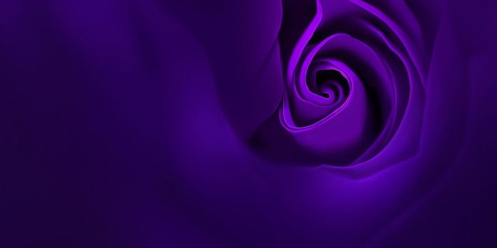 1920x1080 Violet Rose Oppo R15 Stock Wallpapers | HD Wallpapers | ID #28030