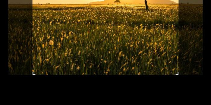 1080x1920 how to set wallpaper fixed and scrollable same like OGQ Backgrounds