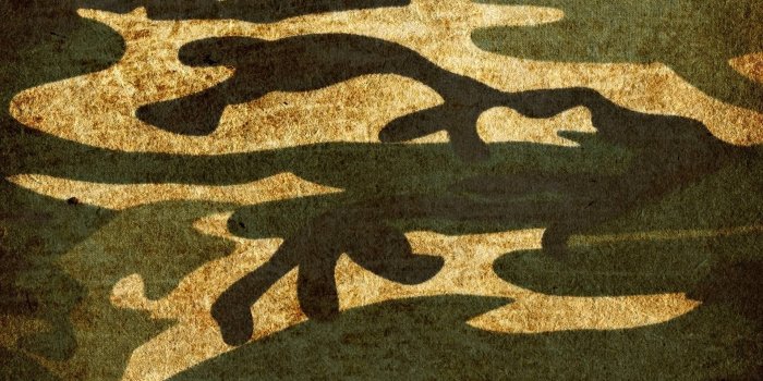 1920x1080 Camouflage wallpaper | 1920x1080 | #55587