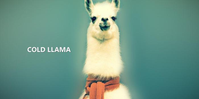 1920x1200 Llama Backgrounds