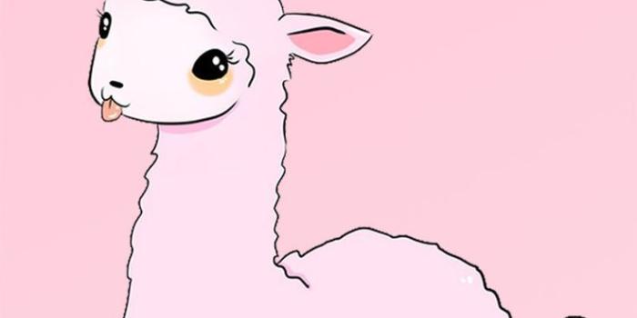 736x1309 Kawaii Llama Wallpaper | Wallpapers in 2019 | Wallpaper doodle, Pink