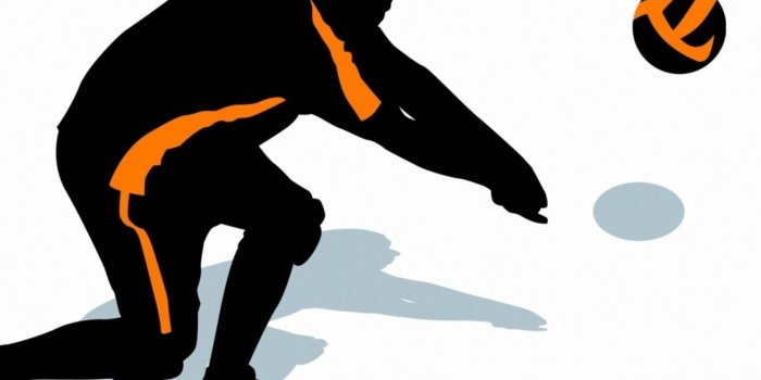 1600x1200 Volleyball Wallpaper (43+ images) on Genchi.info