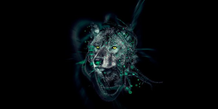 1440x900 Justin M. Maller • Wallpaper \ Rich Soil