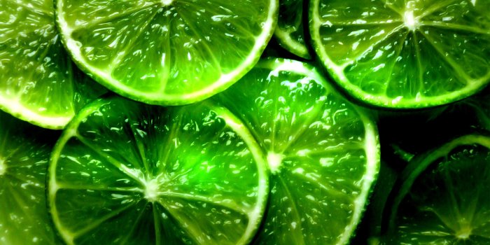 1920x1080 Free Download 44 HD Green Wallpapers for Windows and Mac Systems