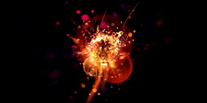 1680x1050 Justin M. Maller • Wallpaper \ Rich Soil