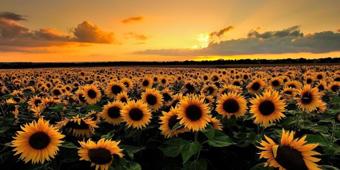 2048x1240 Rich Metallic Details 2048X1240 Free Desktop Wallpaper Downloads