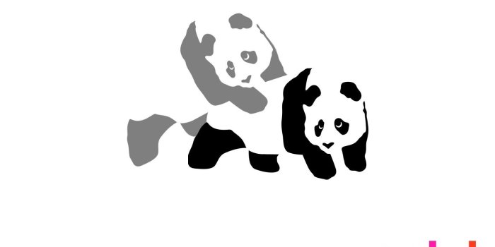 1600x1200 Wallpapers Panda Skate