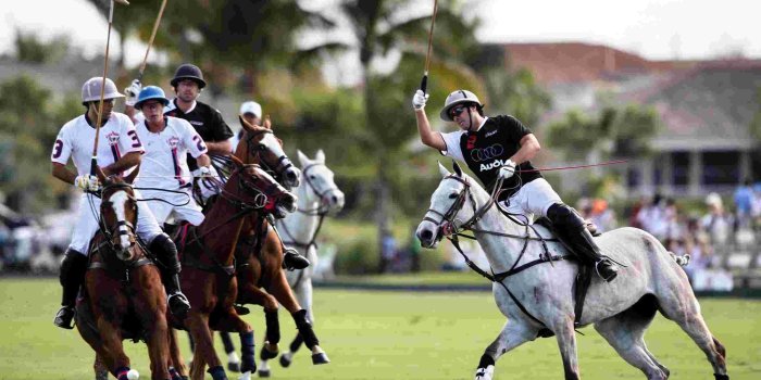 2560x1480 Horse Polo Wallpapers