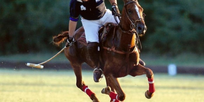 1024x768 Polo Wallpaper 12 - 1099 X 790