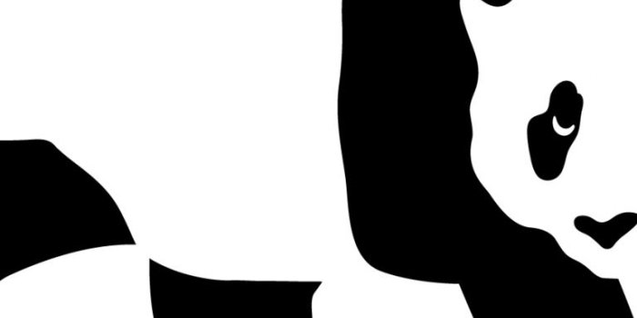 768x1024 Free download enjoi skateboard desktop background wallpaper image