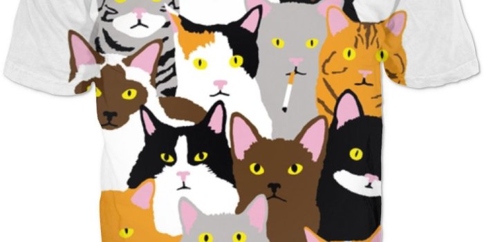 1237x1259 ENJOI CAT WALLPAPER