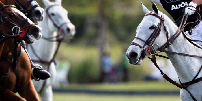 800x1200 Download wallpaper 800x1200 polo, sportsmen, blow, horses, game