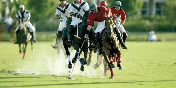 1920x1200 Horse Polo Wallpapers