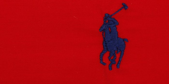 1000x1000 Polo Logo Wallpaper