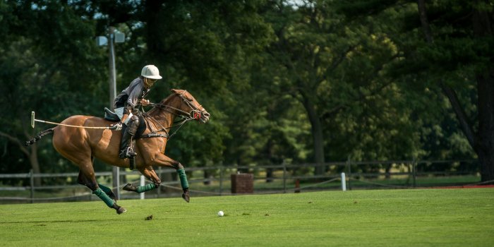 5120x2160 Polo at the Park ❤ 4K HD Desktop Wallpaper for • Wide & Ultra