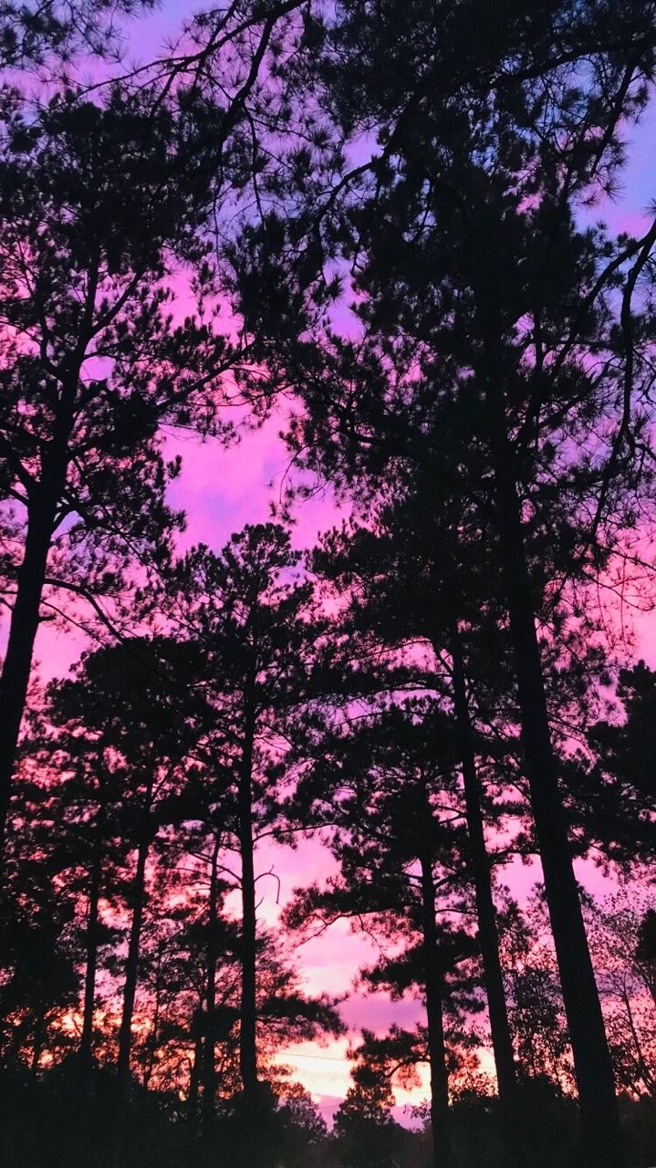 719x1280 stoner wallpaper | Tumblr