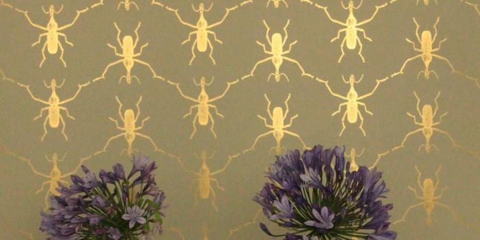 1000x1500 unusual wallpaper - Google Search | Wallpaper pattern in 2019