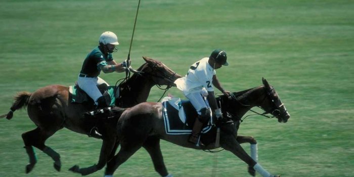 1024x768 Polo wallpapers - SF Wallpaper