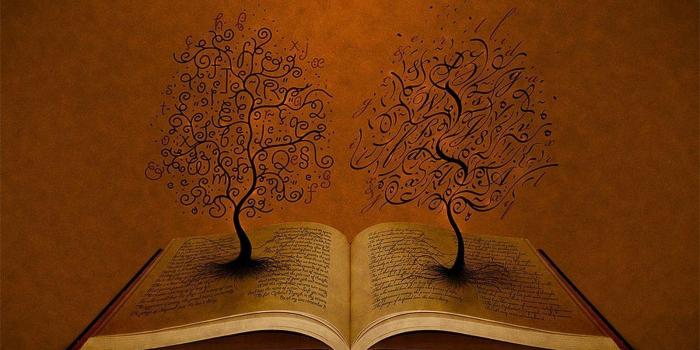 1600x1200 Unusual Wallpapers For Desktop