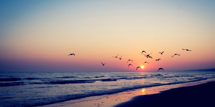 2560x1600 Hollister Wallpapers