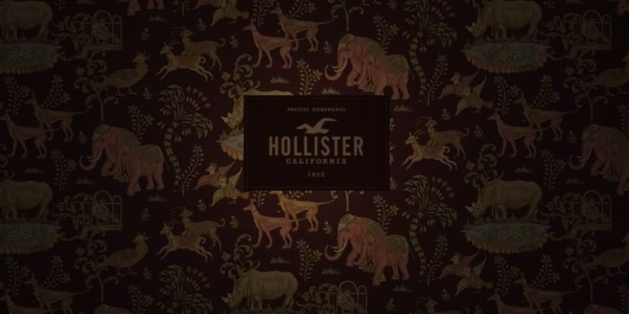 1024x819 30+ Hollister Wallpapers - Download at WallpaperBro
