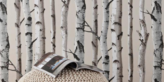 1800x2700 Birch trees wallpaper- would like this for the chimney breast