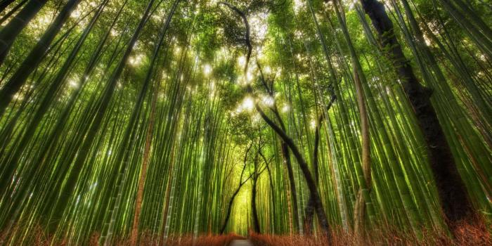 1920x1200 12/10/2015 ~ Unusual, Photography Image Galleries